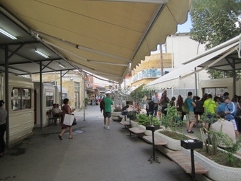 Green_Line_Cyprus_