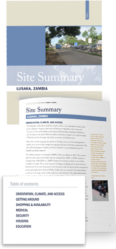 sample site summary zambia