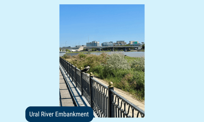 Blog Images 2026 (47) (1)