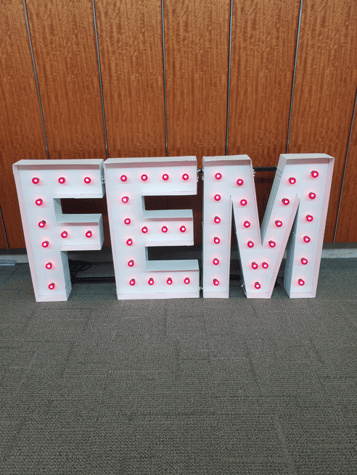 FEM Houston 4