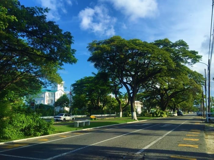 Georgetown, Guyana tree-lined street from Meleah Paull