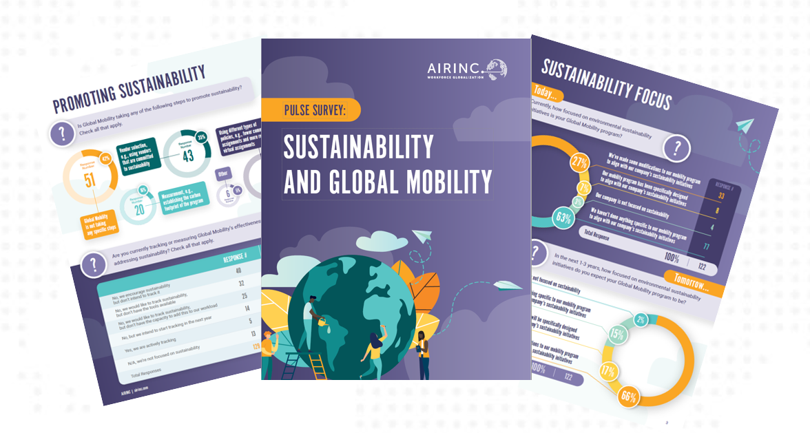Sustainability and global mobility
