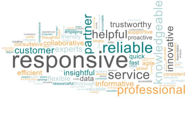 cust sat word cloud