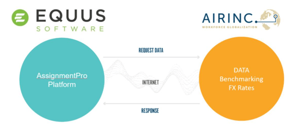 equus banner