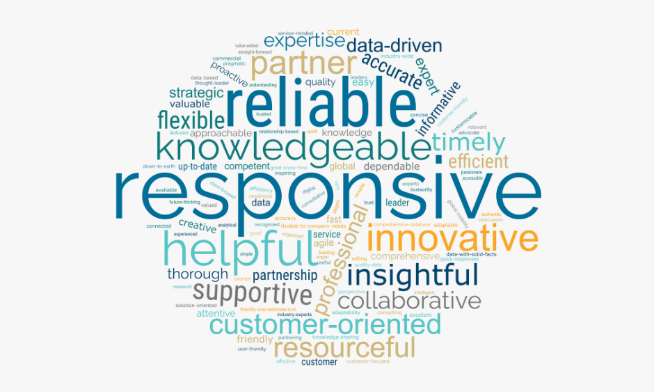 word cloud of AIRINC customer survey